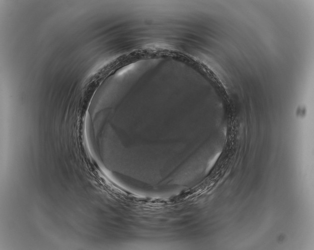 X0000097300919200803071749