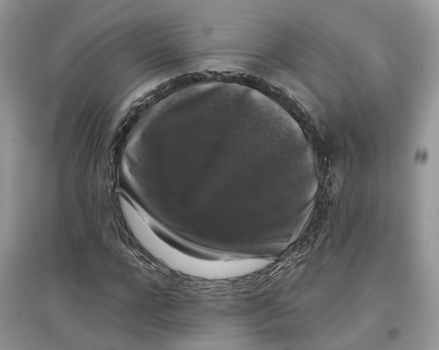 X0000097300920200803071749