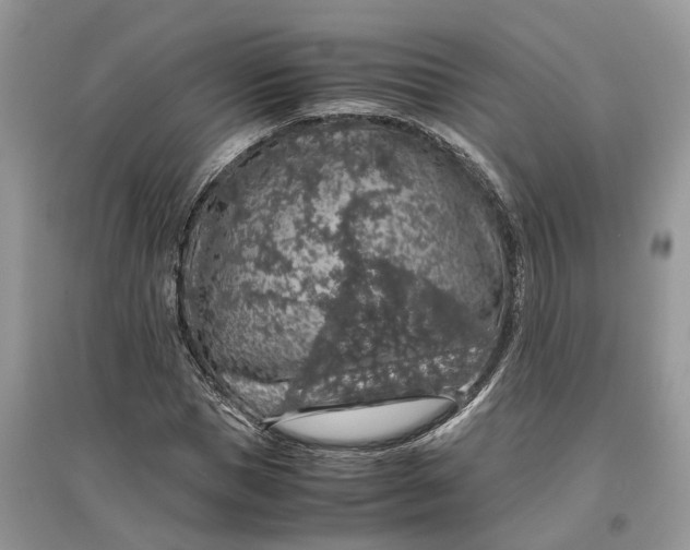 X0000097300921200803071749