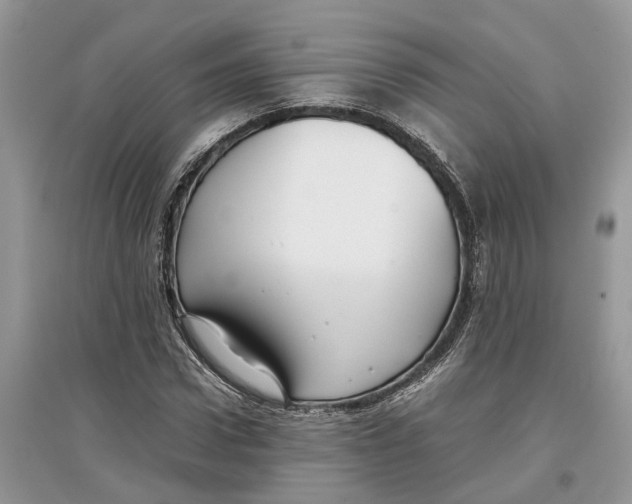 X0000097300922200803071749