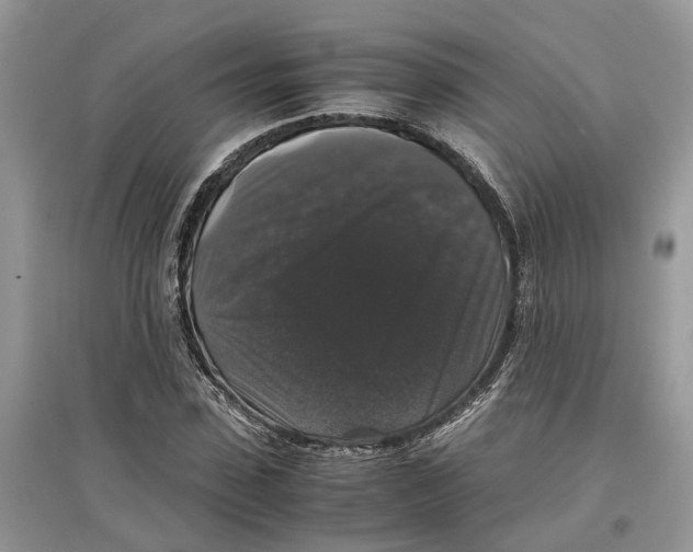 X0000097300923200803071749