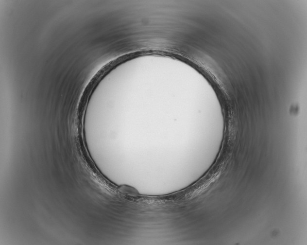 X0000097300924200803071749