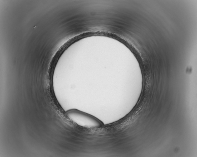 X0000097300927200803071749