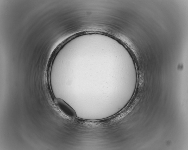 X0000097300928200803071749