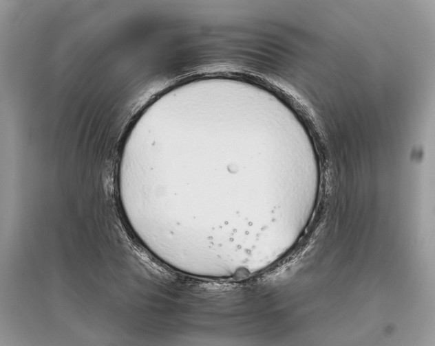 X0000097300929200803071749