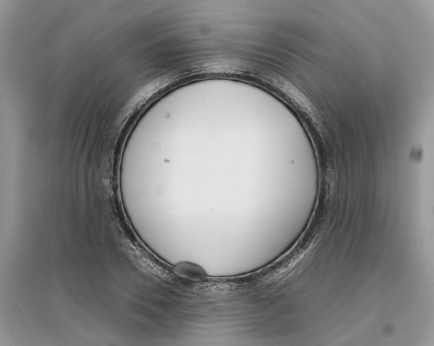 X0000097300930200803071749