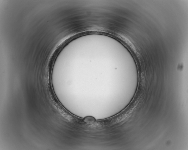 X0000097300931200803071749