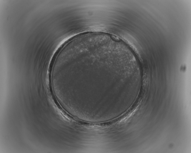 X0000097300932200803071749