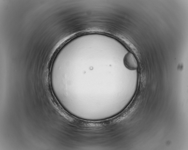 X0000097300933200803071749