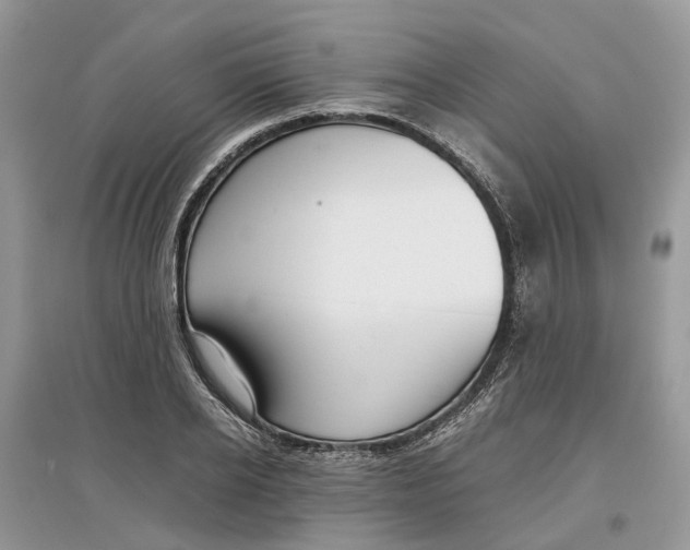 X0000097300934200803071749