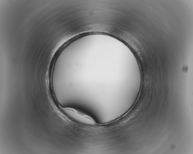 X0000097300936200803071749