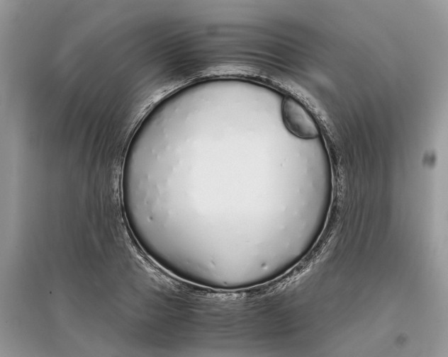 X0000097300937200803071749