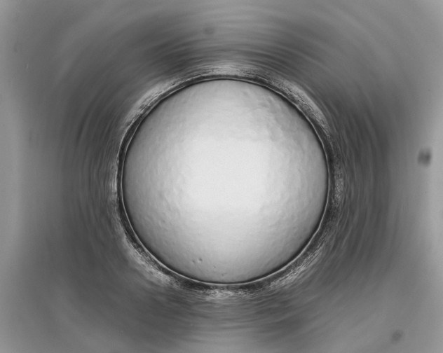 X0000097300938200803071749