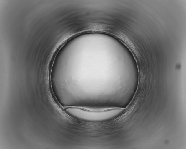 X0000097300939200803071749