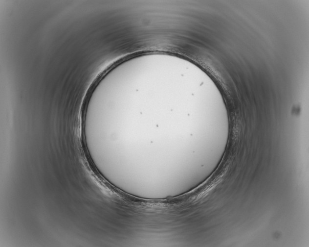 X0000097300940200803071749