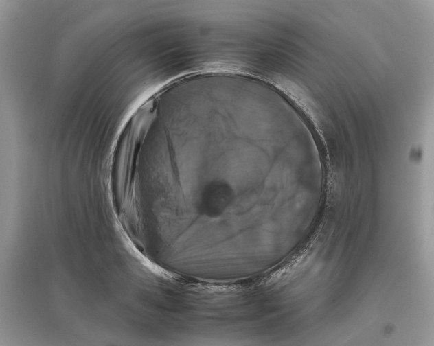 X0000097300941200803071749