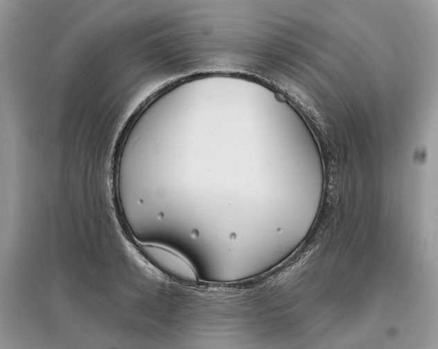 X0000097300942200803071749