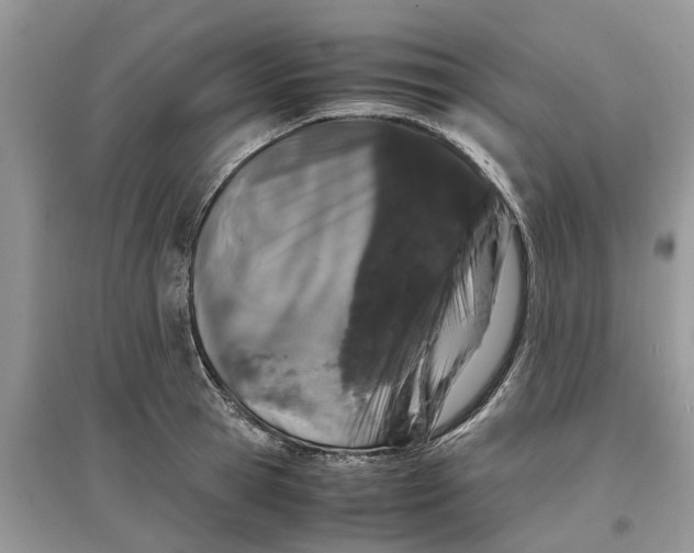 X0000097300945200803071750