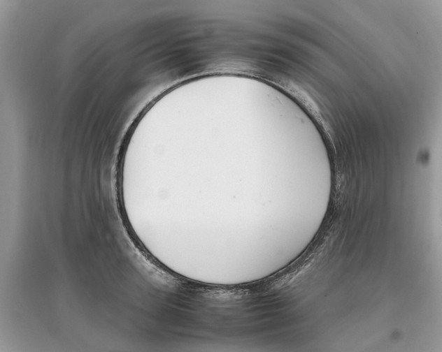 X0000097300947200803071750