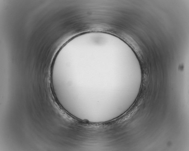 X0000097300948200803071750