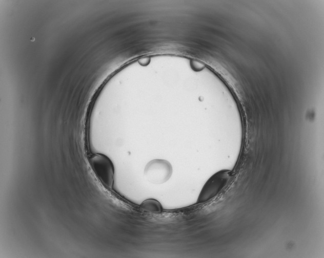 X0000097300949200803071750