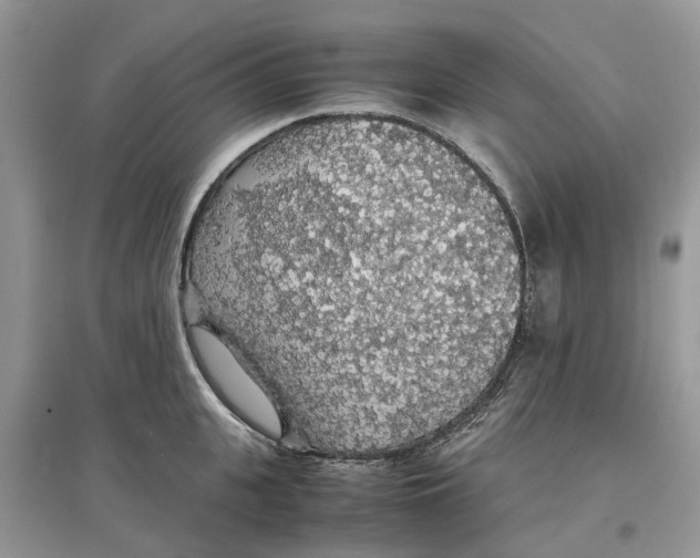 X0000097300951200803071750