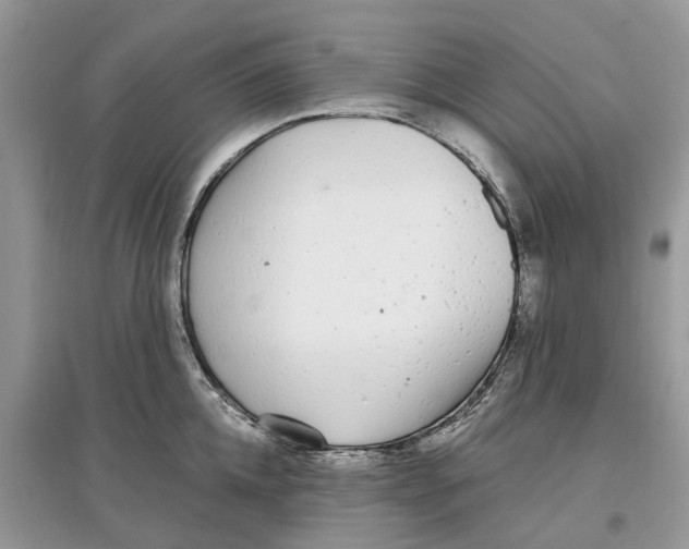 X0000097300952200803071750