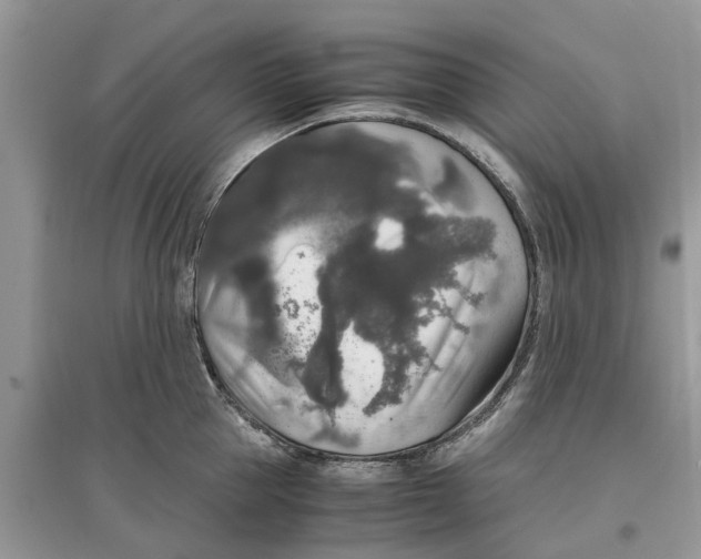 X0000097300953200803071750