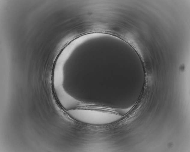 X0000097300954200803071750