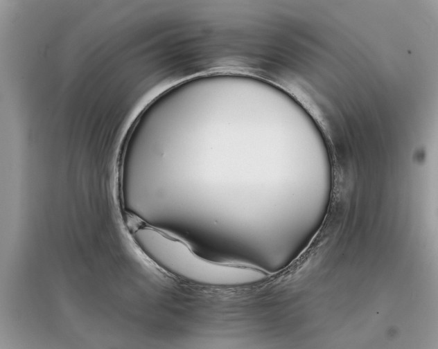 X0000097300955200803071750