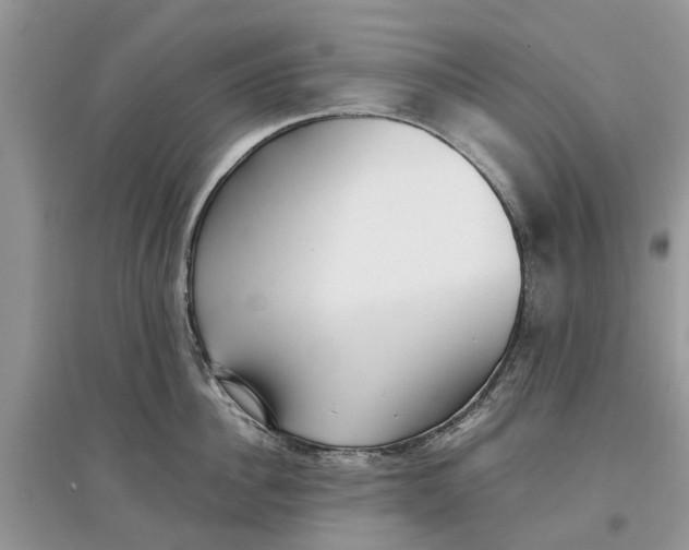 X0000097300956200803071750