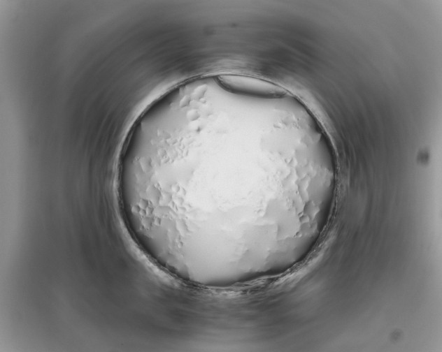 X0000097300957200803071750