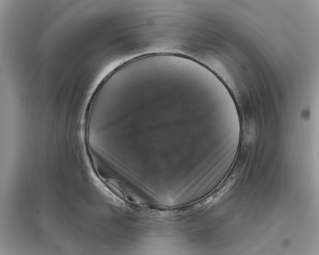 X0000097300958200803071750