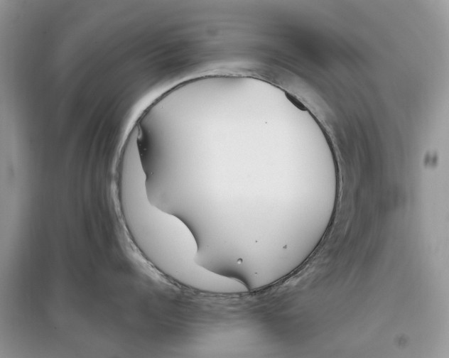 X0000097300960200803071750