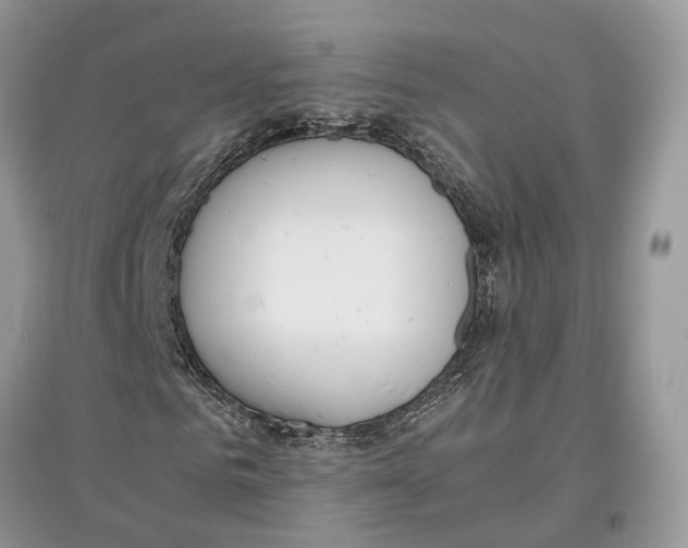 X0000097300961200803071749