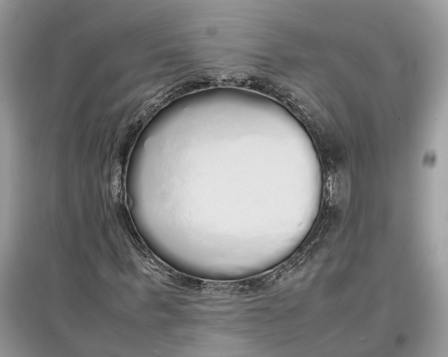 X0000097300963200803071749