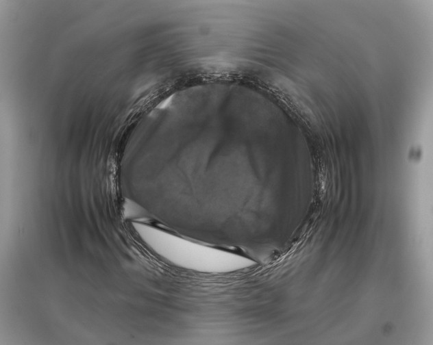 X0000097300964200803071749