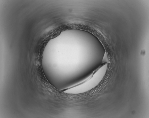 X0000097300965200803071749