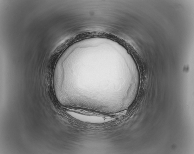 X0000097300967200803071749