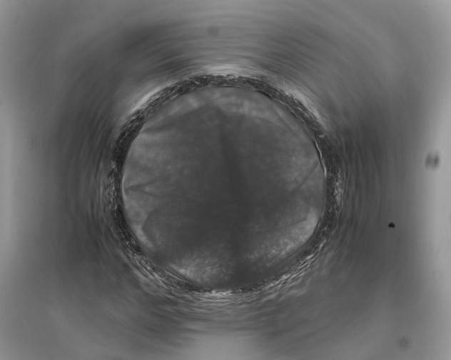 X0000097300968200803071749