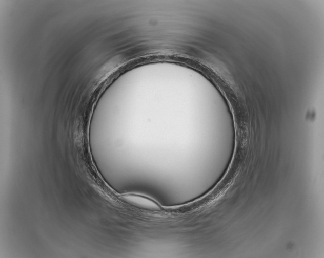 X0000097300969200803071749