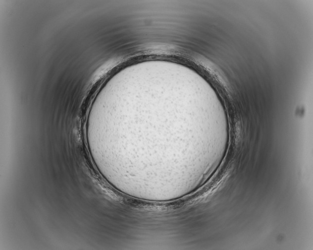 X0000097300970200803071749