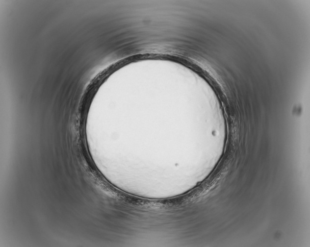 X0000097300971200803071749