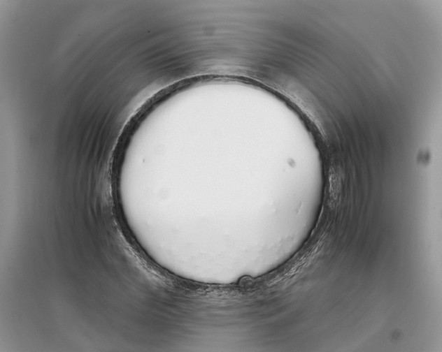 X0000097300972200803071749