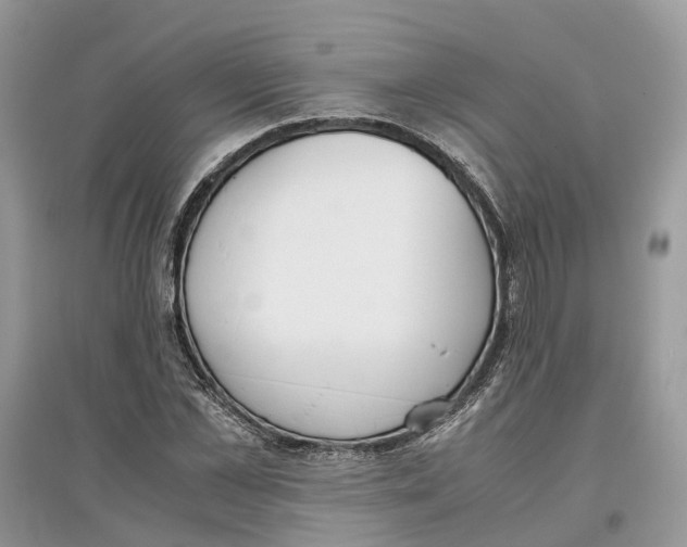 X0000097300973200803071749