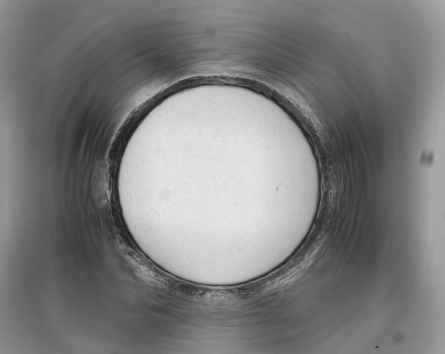 X0000097300974200803071749