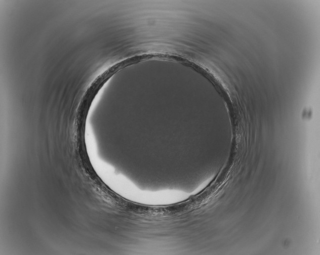 X0000097300975200803071749