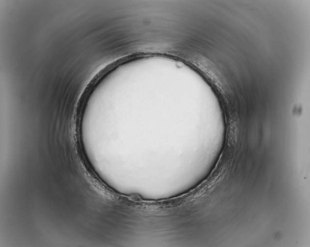 X0000097300976200803071749