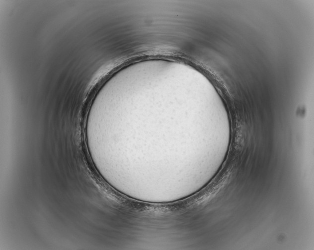 X0000097300978200803071749