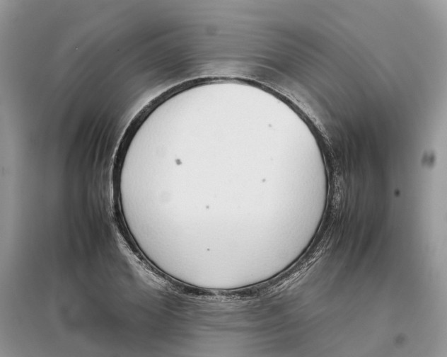 X0000097300980200803071749